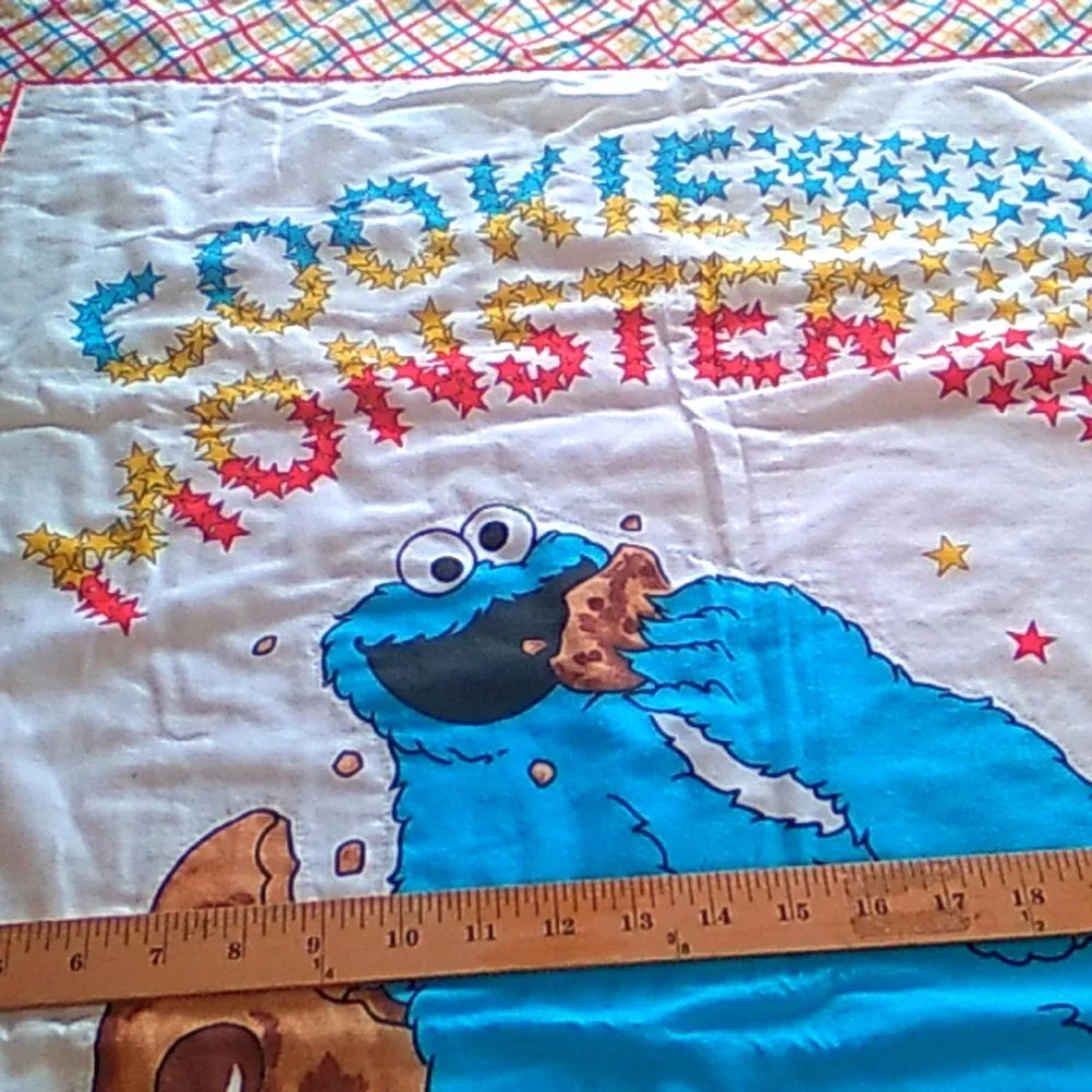 🍪  Cookie Monster FLANNEL BACKING CHILD'S BLANKET Throw 41 X 32 EVC